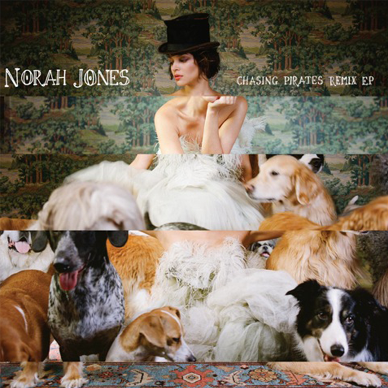 The Fall Remixes Vinyl - Norah Jones